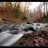 20111211_057